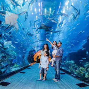 Dubai Aquarium and Underwater Zoo